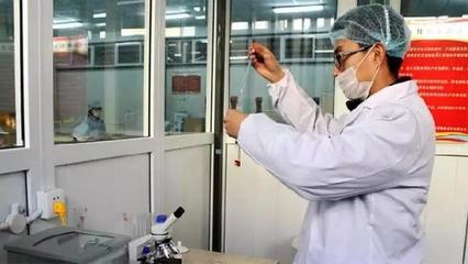 強肝益腎明目填精 寧夏枸杞與空氣凈化設備研發的跨界啟示